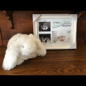 Frame and gund bunny